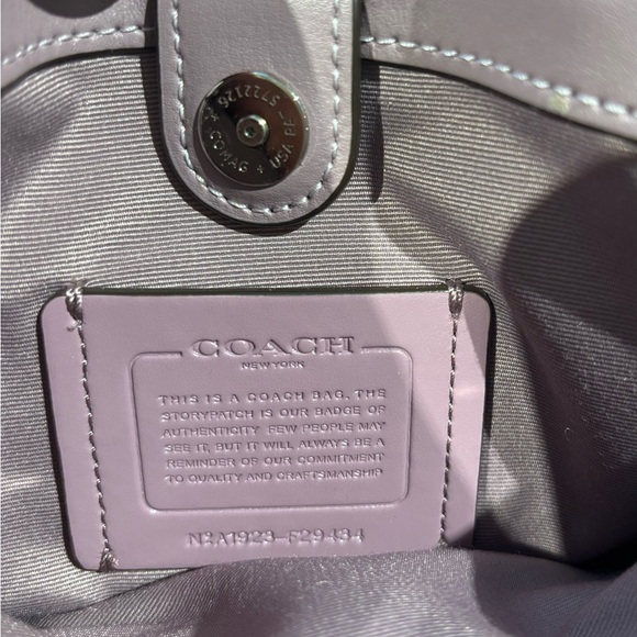 NWT! COACH Mini Sage Carryall - Picture 3 of 6